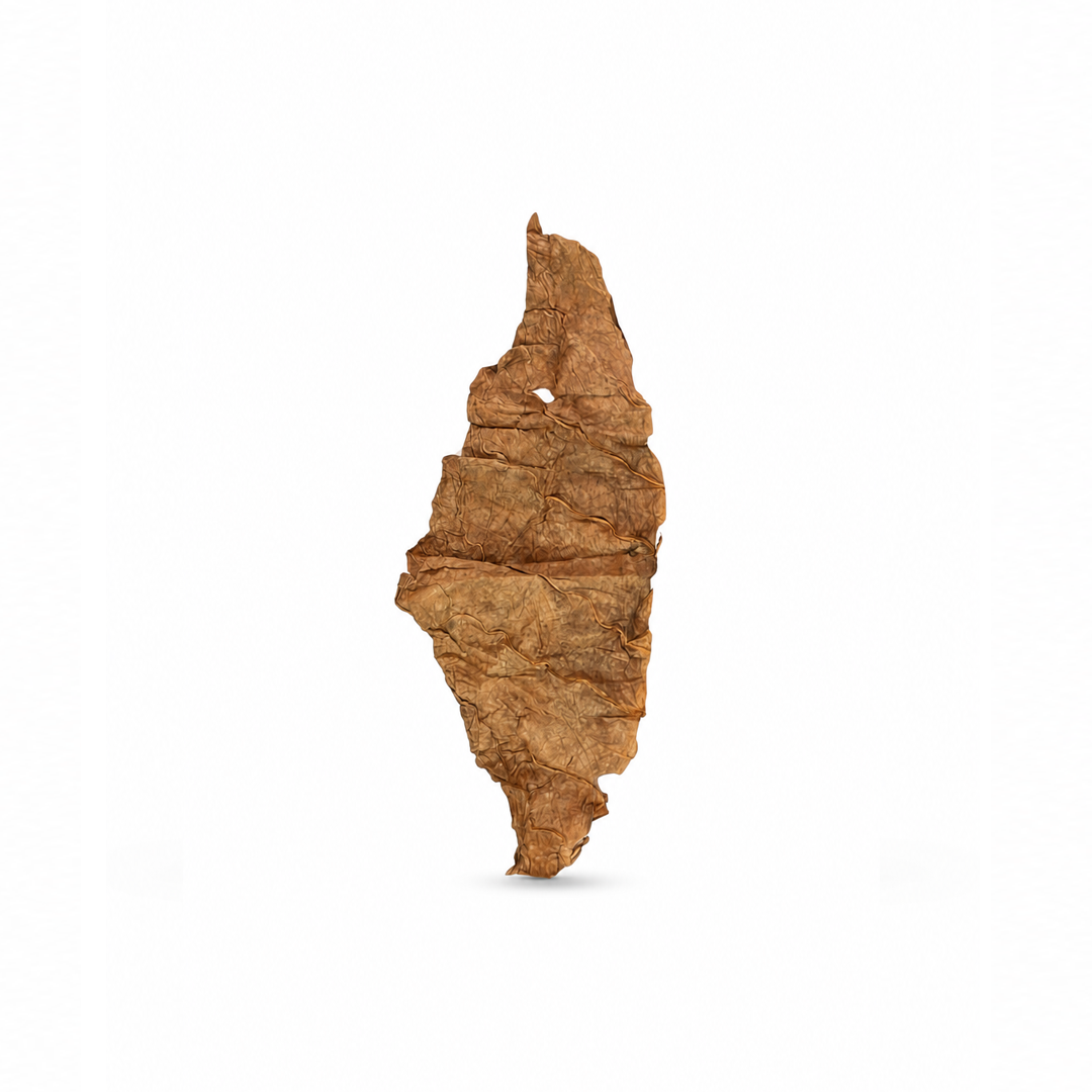 Blunt Folha de Tabaco Smoking Dog Mel