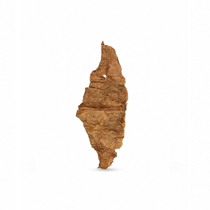 Blunt Folha de Tabaco Smoking Dog Mel